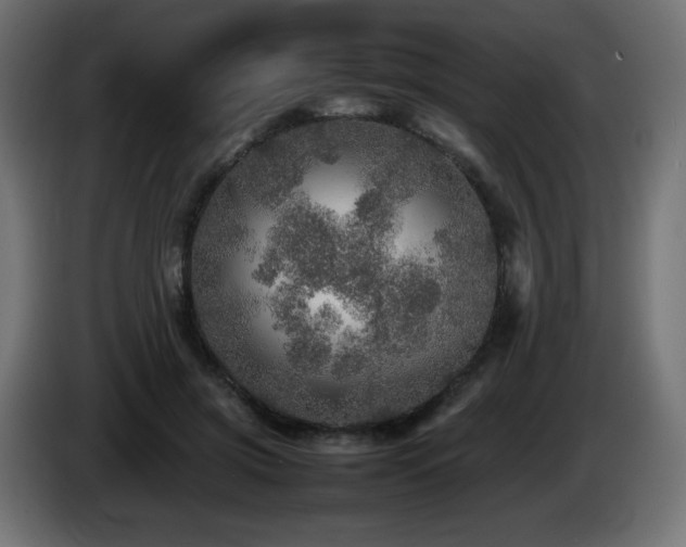X0000087010549200704161544