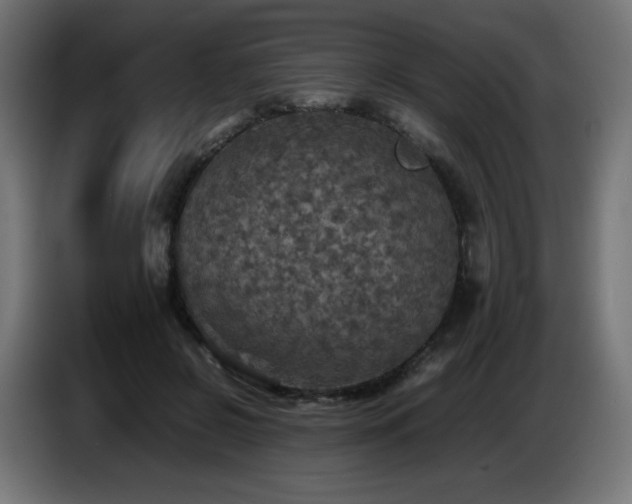 X0000087010550200704161544