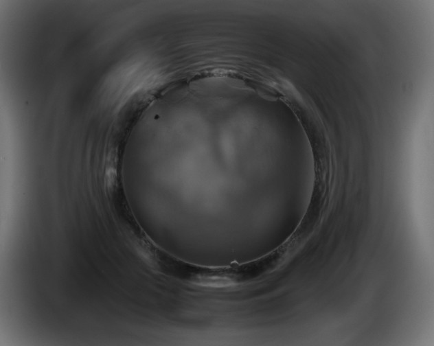 X0000087010553200704161544