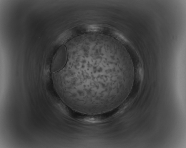 X0000087010557200704161544