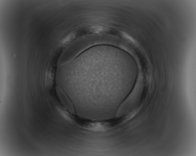 X0000087010558200704161544