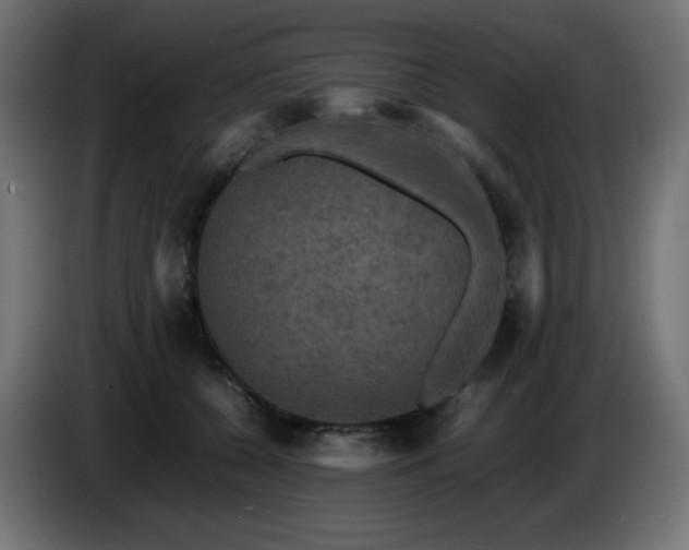 X0000087010560200704161544