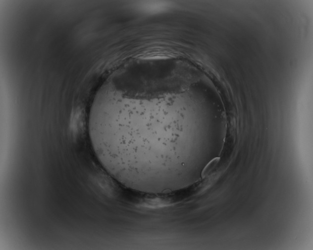 X0000087010561200704161544