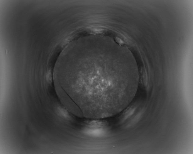 X0000087010562200704161544