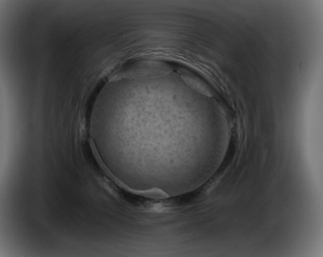 X0000087010564200704161544