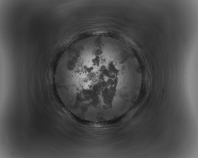 X0000087010565200704161544