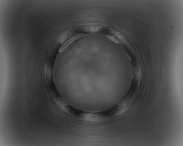 X0000087010568200704161544
