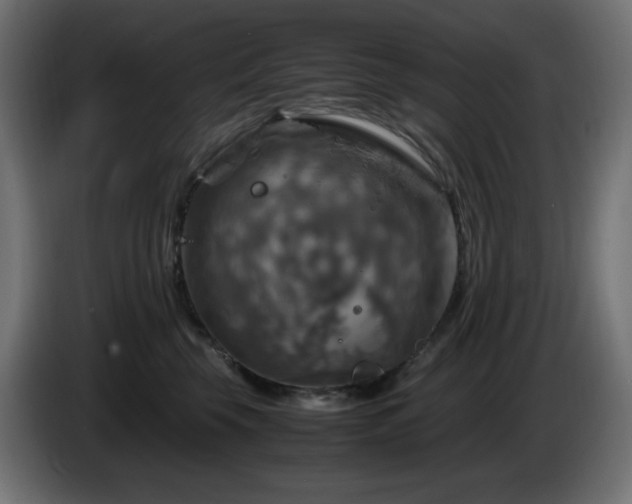 X0000087010569200704161544