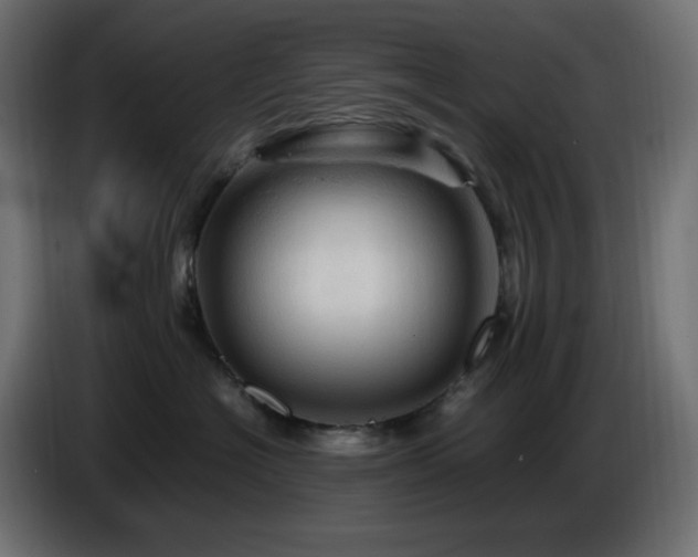 X0000087010574200704161544