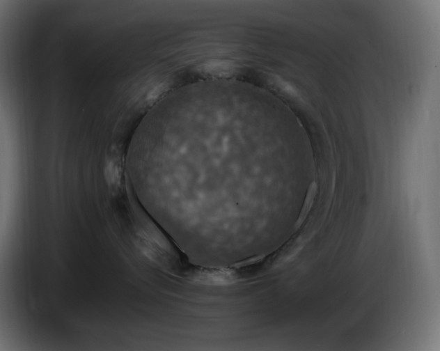 X0000087010576200704161544