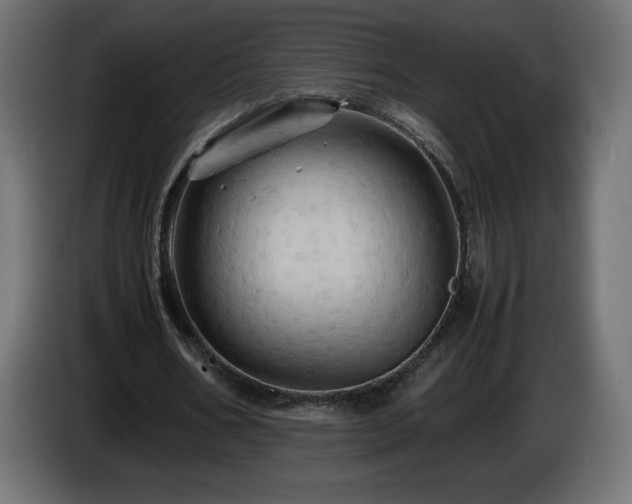 X0000087010578200704161543