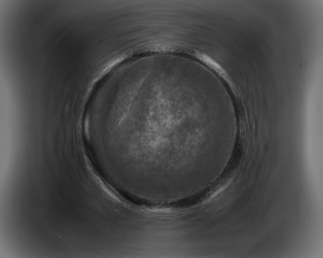 X0000087010581200704161543