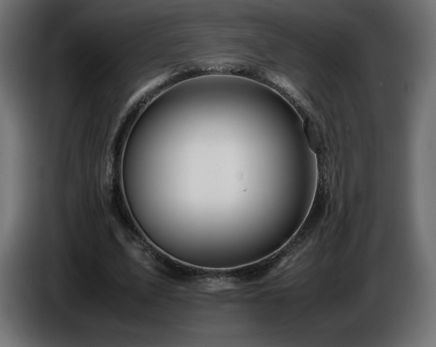 X0000087010583200704161543