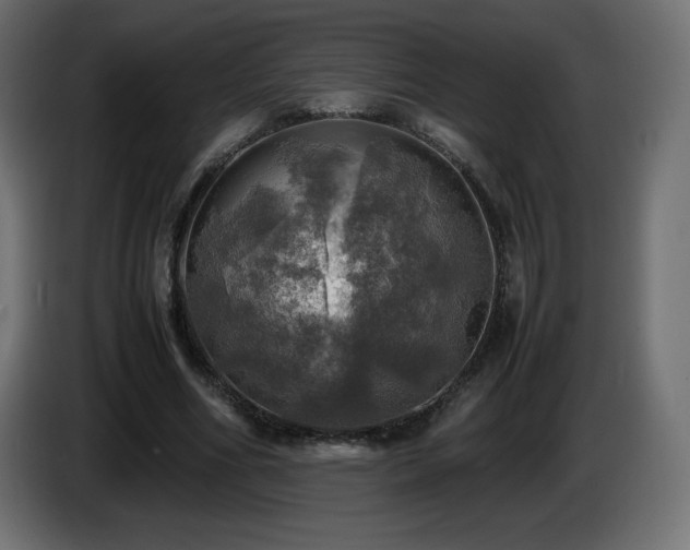 X0000087010586200704161543