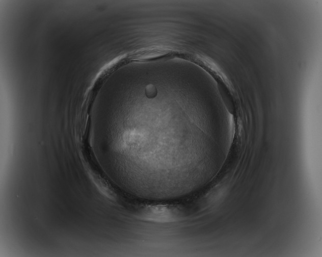 X0000087010588200704161543