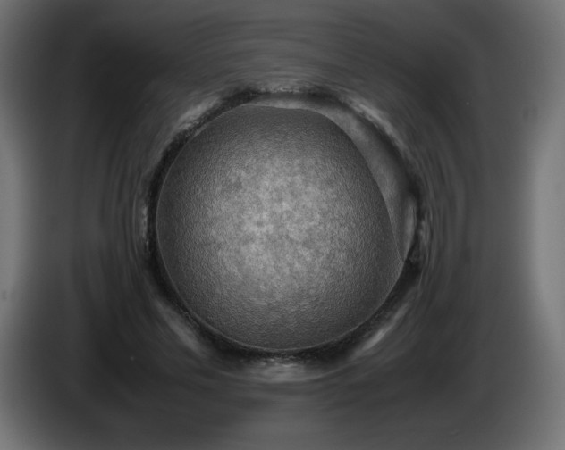 X0000087010589200704161543