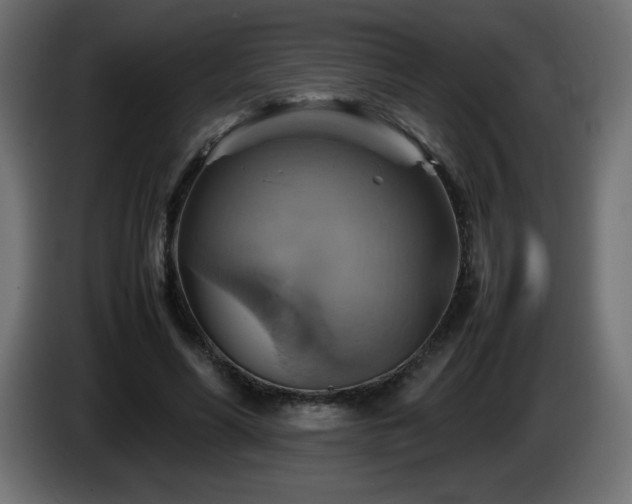 X0000087010590200704161543