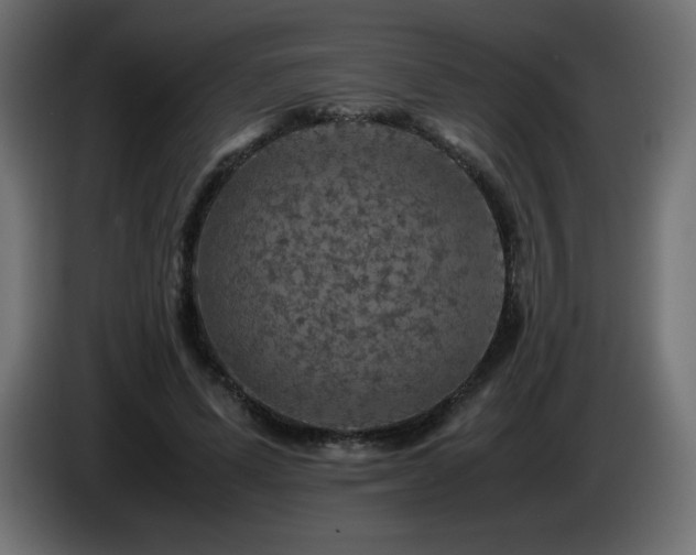 X0000087010591200704161543