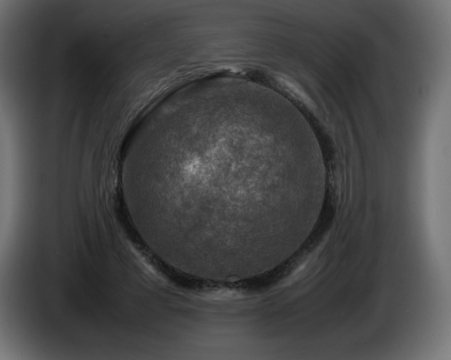 X0000087010593200704161543