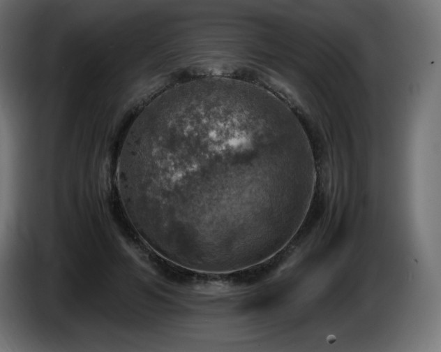X0000087010594200704161543