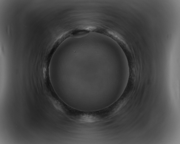 X0000087010596200704161543