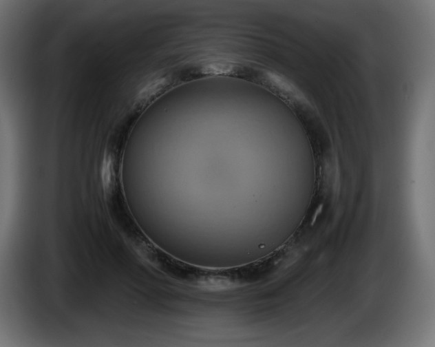 X0000087010598200704161543
