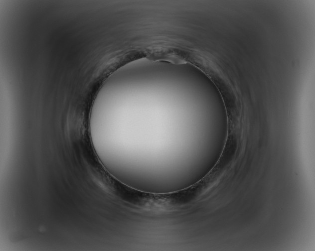 X0000087010599200704161543