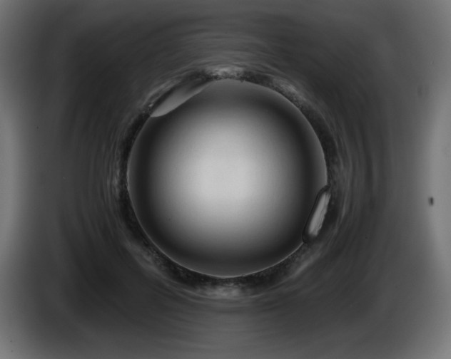 X0000087010600200704161543