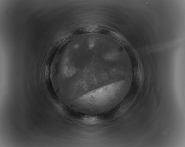 X0000087010602200704161543