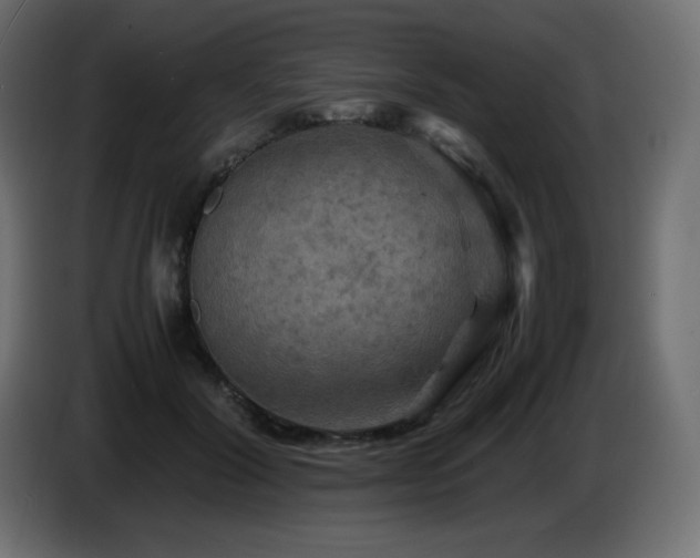X0000087010604200704161543