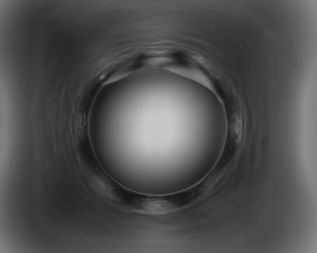 X0000087010605200704161543
