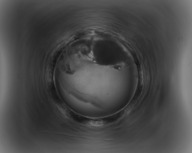 X0000087010606200704161543