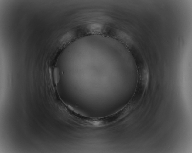 X0000087010610200704161543