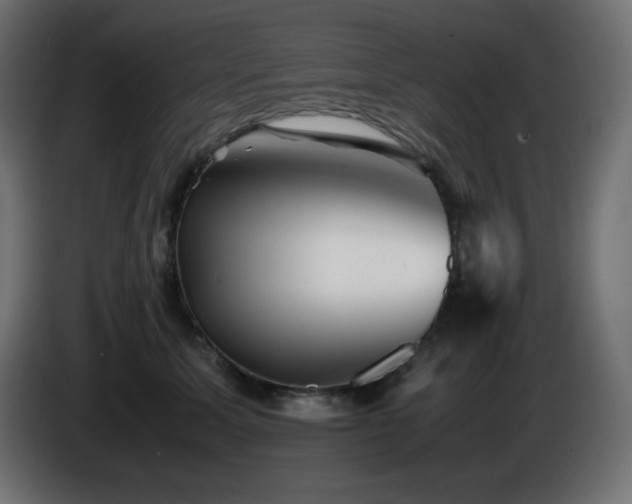 X0000087010611200704161543