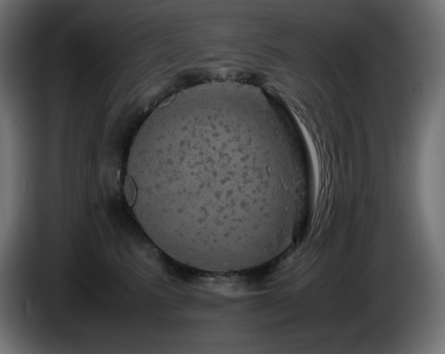 X0000087010615200704161543
