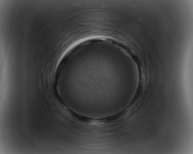 X0000087010616200704161543