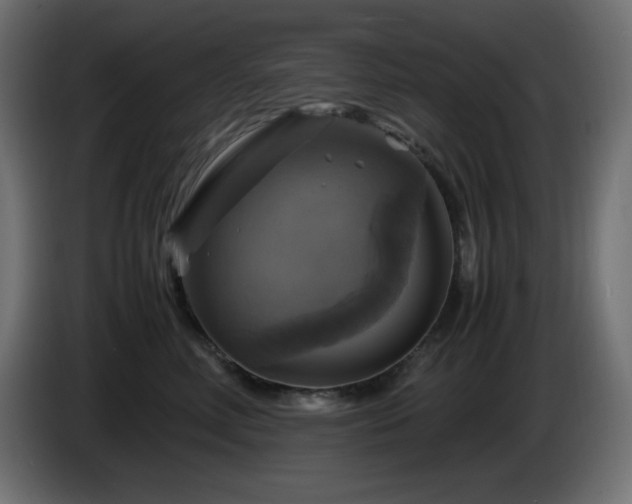 X0000087010618200704161543