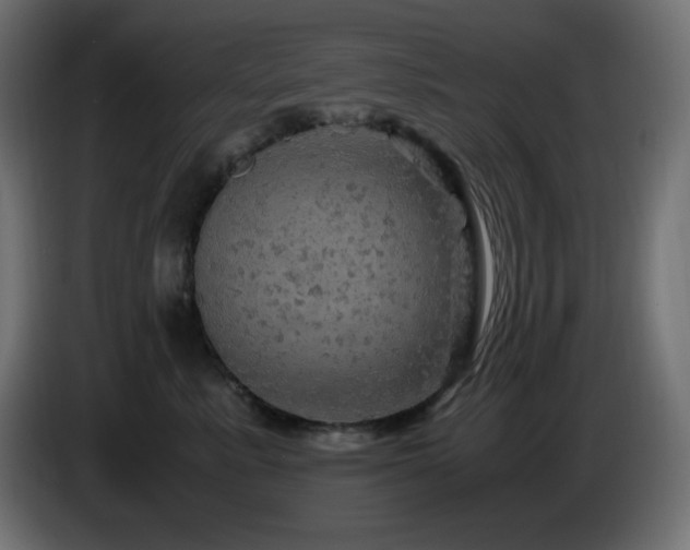 X0000087010619200704161543