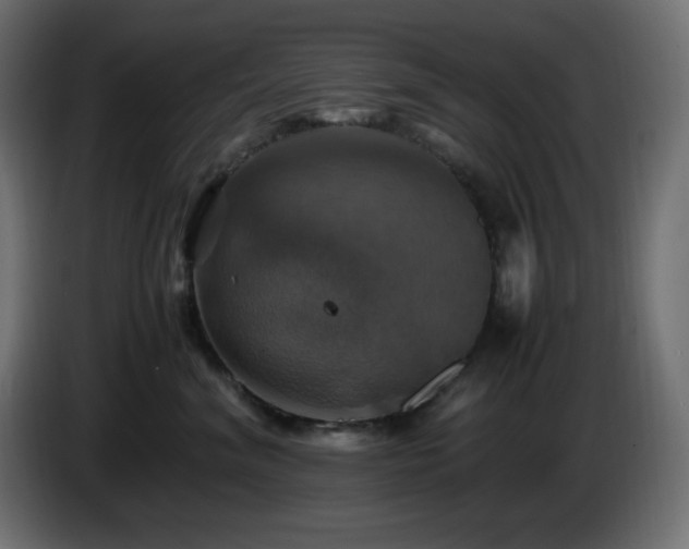 X0000087010620200704161543