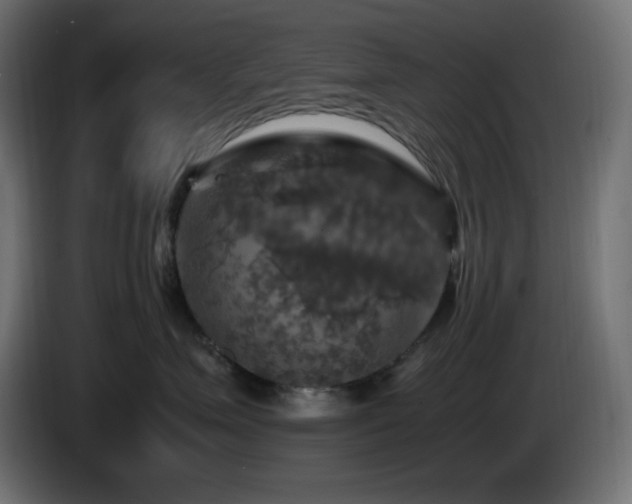X0000087010623200704161543