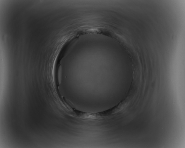 X0000087010624200704161543