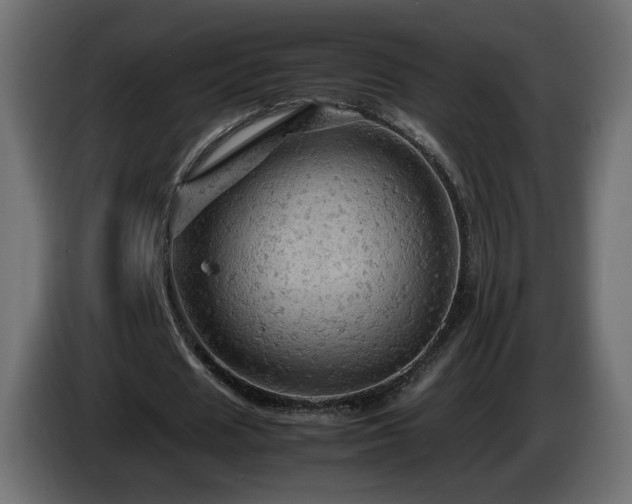 X0000087010625200704161542