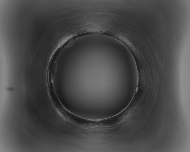 X0000087010626200704161542