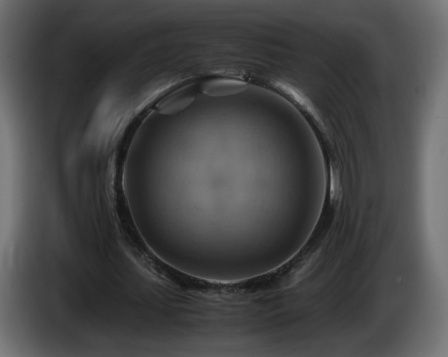 X0000087010627200704161542