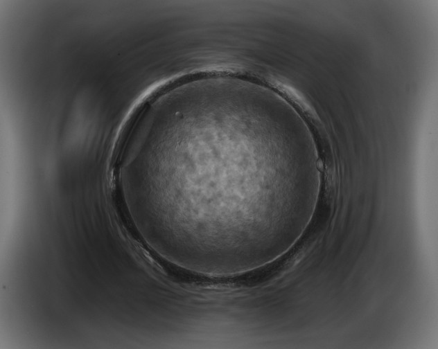 X0000087010628200704161542