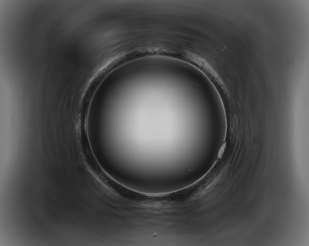 X0000087010629200704161542
