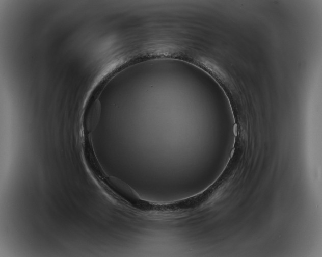 X0000087010630200704161542