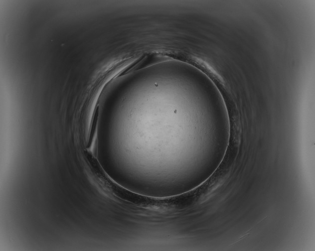 X0000087010631200704161542