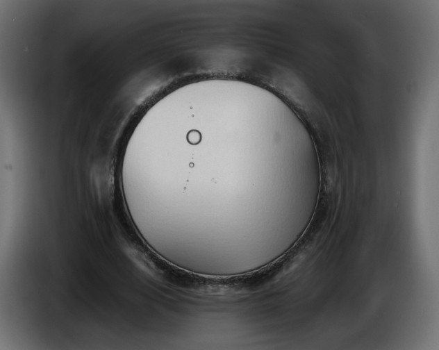 X0000087010632200704161542