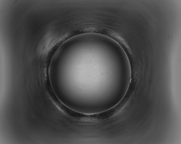 X0000087010633200704161542